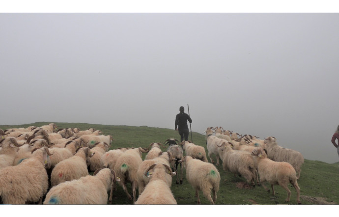 Maïna Chassevent, bergère sans terre, Pays basque, 2021.