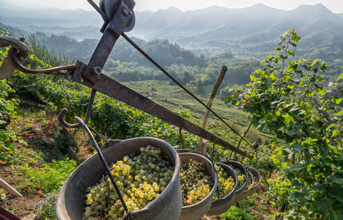 La région de Conegliano Valdobbiadene près de Venise.