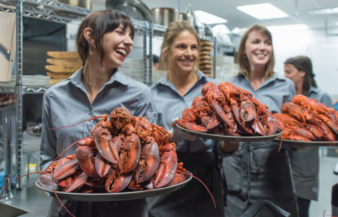 Les homards abondent ! Les pêcheurs de la région alimentent le monde.