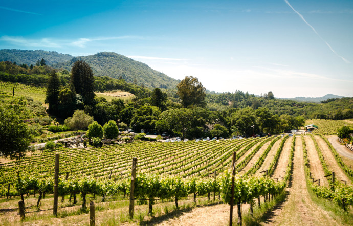 Good Wines les vins californiens côté nature - the good life