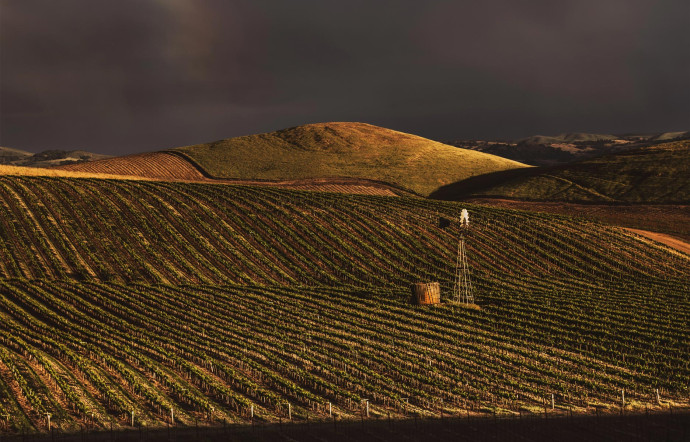 Good Wines les vins californiens côté nature - the good life