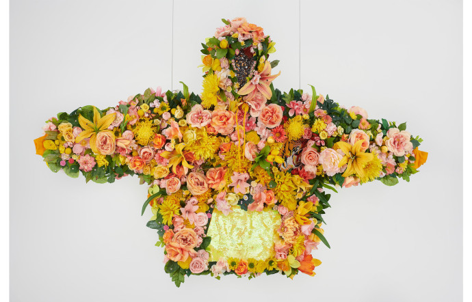 February II, 2019, Devan Shimoyama.