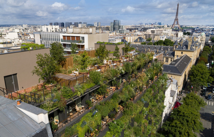 Sous la jungle, une structure géométrique pavée de baies vitrées offrent aux chambres un maximum de lumière naturelle.