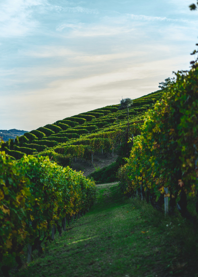 Au volant de notre Fiat 500, au milieu des vignes des Langhe… On a écoute un peu de musique.