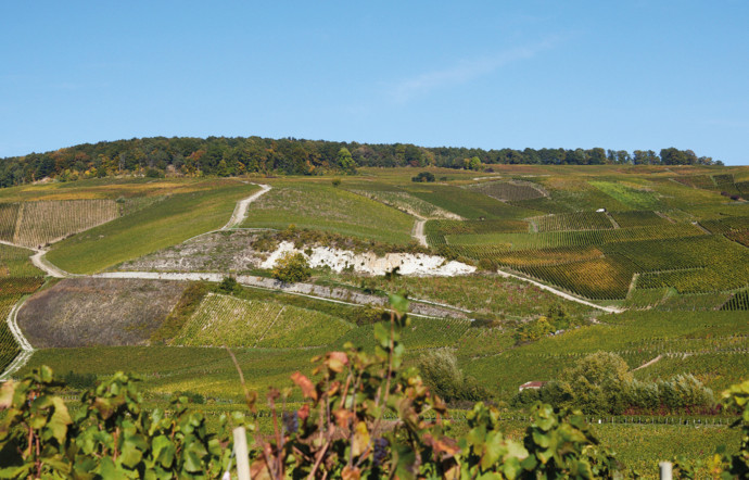 Les paysages de Champagne.