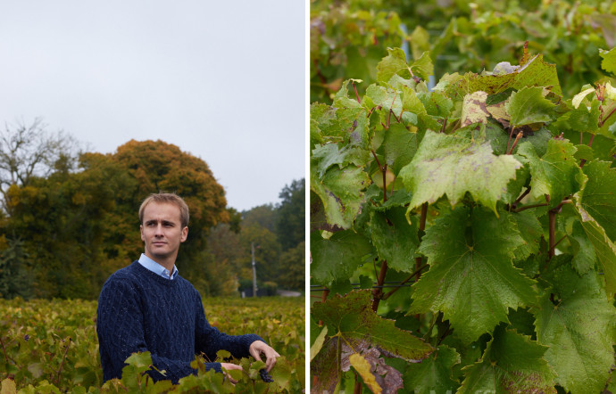 Édouard Roy, cofondateur des champagnes EPC (pour épicurien).