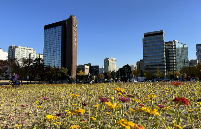 Et soudain : un champ de fleurs printanier, au beau milieu de la capitale !