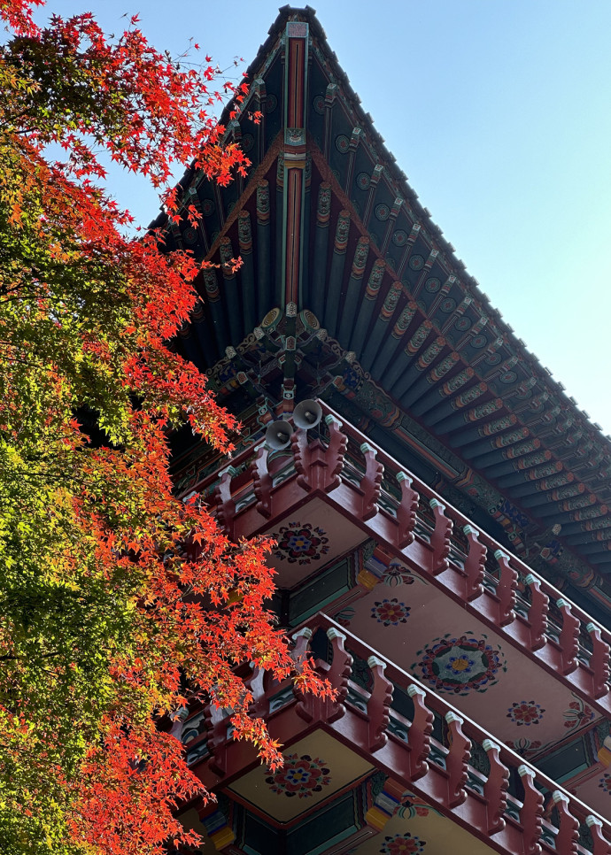 L’automne est certainement la plus belle saison pour une escapade en Corée du Sud, notamment grâce à ses couleurs uniques.