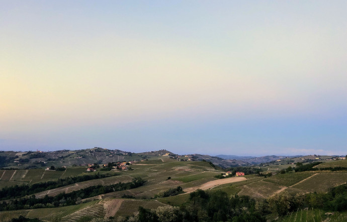 Les Langhe, un petit coin de paradis.