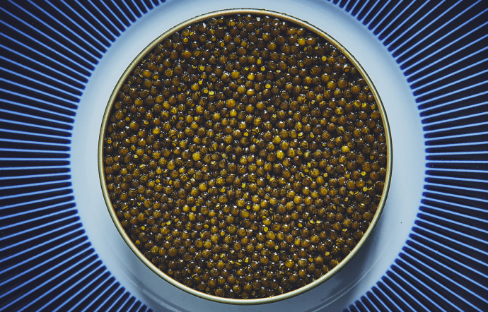 caviar-the-good-life