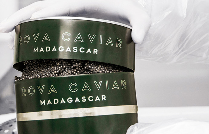the-good-life-rova-caviar