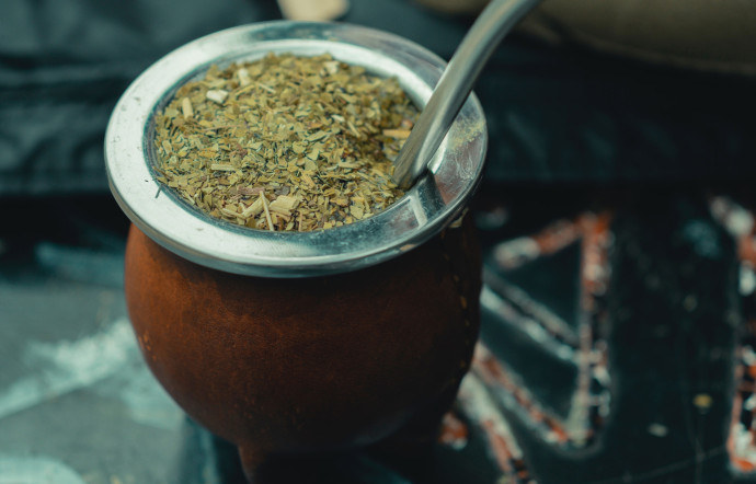 Le maté est une infusion élaborée à partir des feuilles de yerba maté parfaite pour ceux qui luttent contre la fatigue.