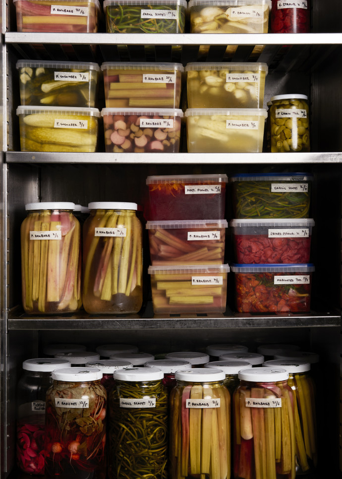 Le frigo du Nolla.