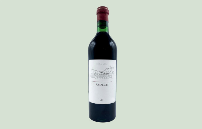 La bouteille Teroldego 2021 Appellation : Vigneti delle Dolomiti. Prix : 35 €.