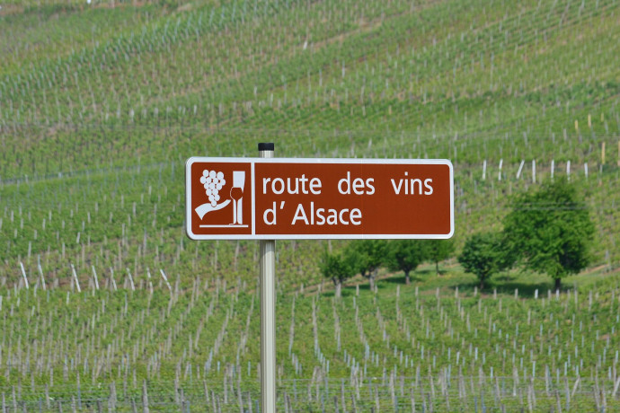 L’Alsace compte 51 grands crus, mais le public a une mauvaise image de ses nectars… Crédit photo : Wikimedia Commons