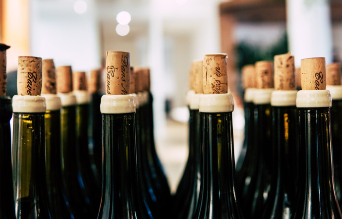 Les vignes de Provence attirent de plus en plus de stars, tentés par l’idée de produire leurs propres vins, 2023 - The