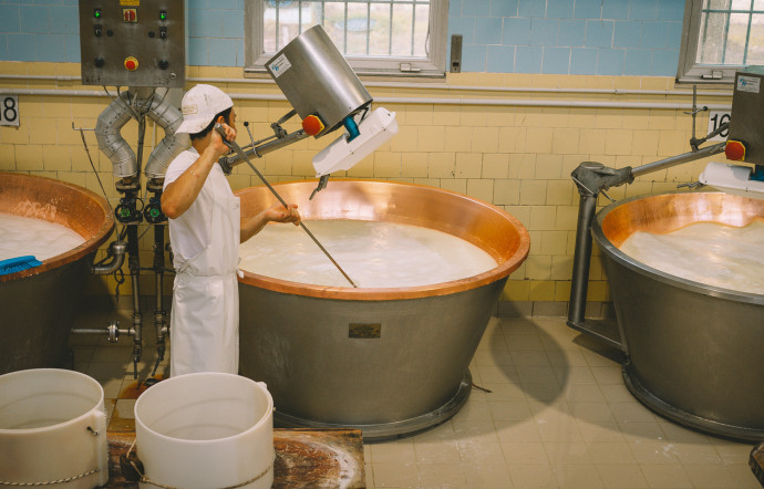 Il Parmigiano Reggiano, la cui storia inizia nel Medioevo, ha ottenuto la Denominazione di Origine Protetta (DOP) nel 1996.