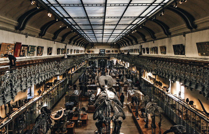 Le Musée d’histoire naturel de Londres.