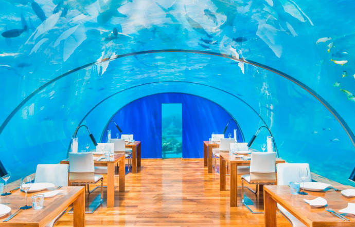 Ithaa est le premier restaurant sous-marin du monde.