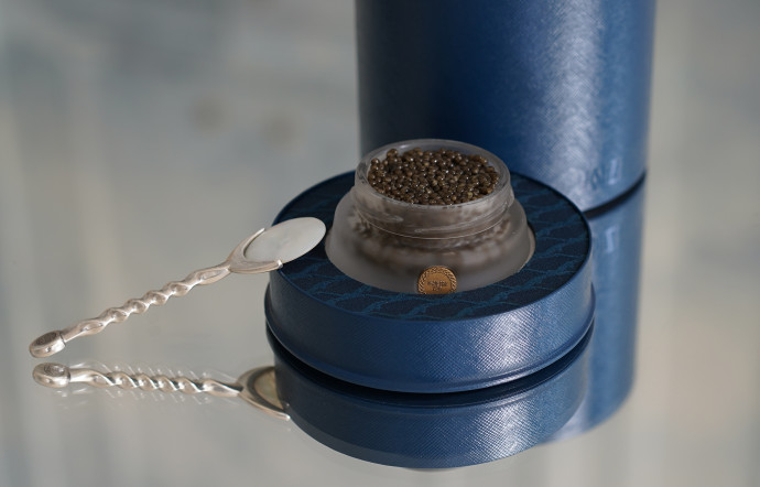 Le caviar Volzhenka dans son écrin et avec sa cuillère en nacre imaginés par Ramdame Touhami.
