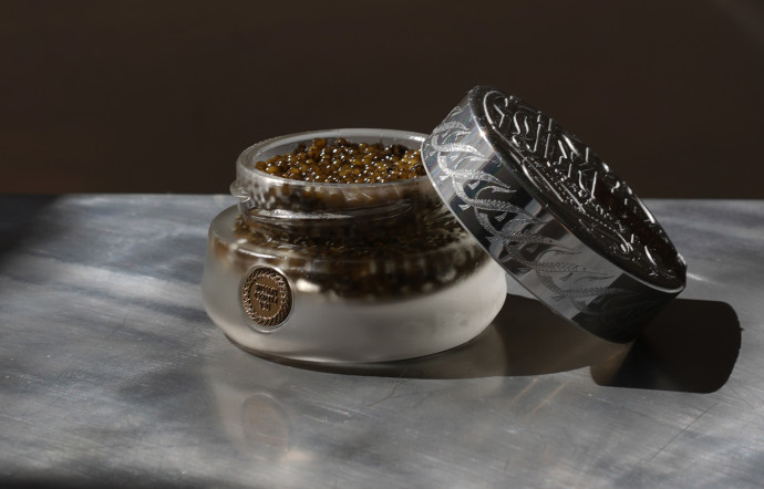 caviar volzhenka français showroom rue saint-honoré