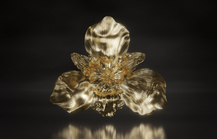 Si la principale source d’inspiration de Brendi Wedinger est la nature, l’art numérique en 3D est son terrain d’expression.