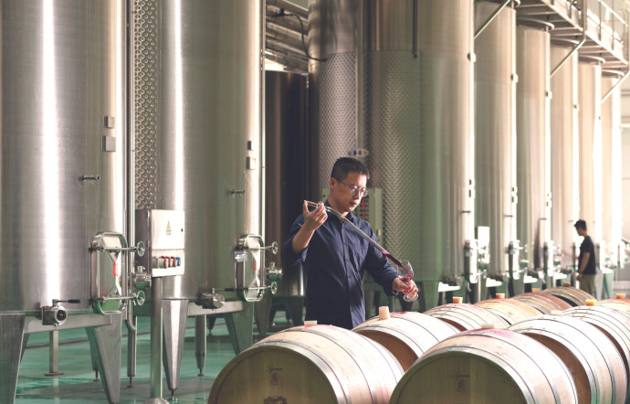 Le winemaker Zhao Desheng, qui officie au Domaine franco-chinois, au nord de Pékin.