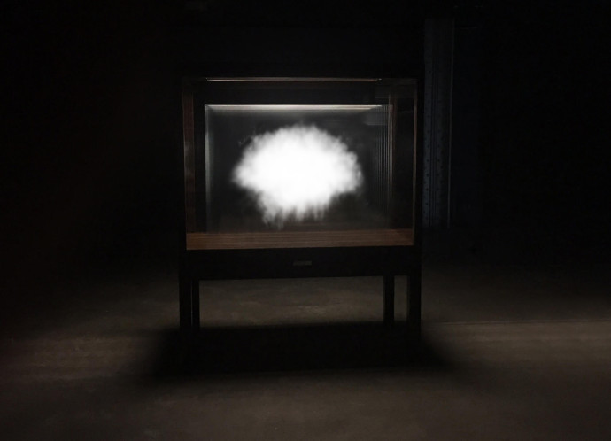 Leandro Erlich, Champignon, Collection de Nuages, 2018.Extra clear glass, ceramic ink digital printing, wooden vitrine, led lights, 199,5 x 175 x 81 cm.Courtesy: the artist and GALLERIA CONTINUA.
