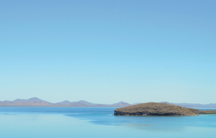 Faire un feu, boire de l’eau salée... Voici les 10 choses à ne pas faire sur une île déserte selon le journaliste François Simon, 2024 - TGL