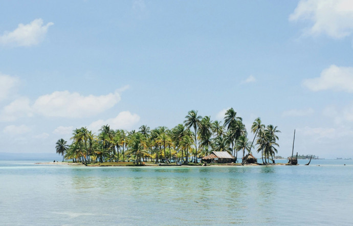 Faire un feu, boire de l’eau salée... Voici les 10 choses à ne pas faire sur une île déserte selon le journaliste François Simon, 2024 - TGL