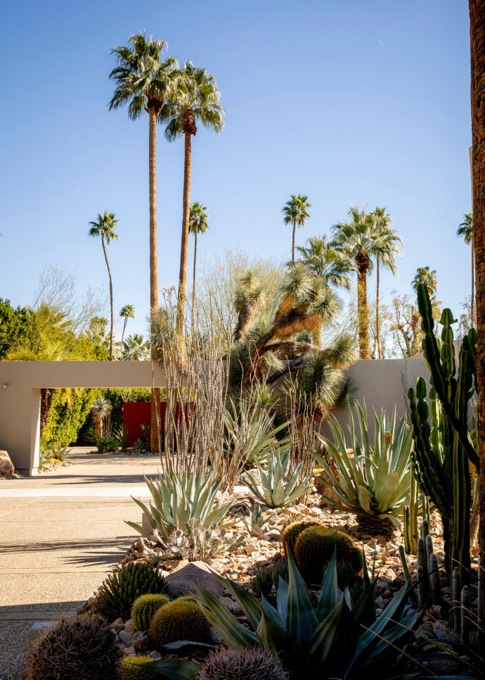 Palm Springs concentre à ce jour encore le plus grand nombre de villas incarnant une catégorie à part entière de ce mouvement moderne : le Desert Modernism