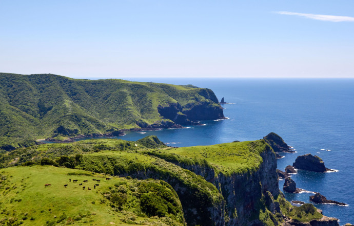 L’île de Nishinoshima est en partie couverte de prairies qui se jettent dans la mer du Japon.