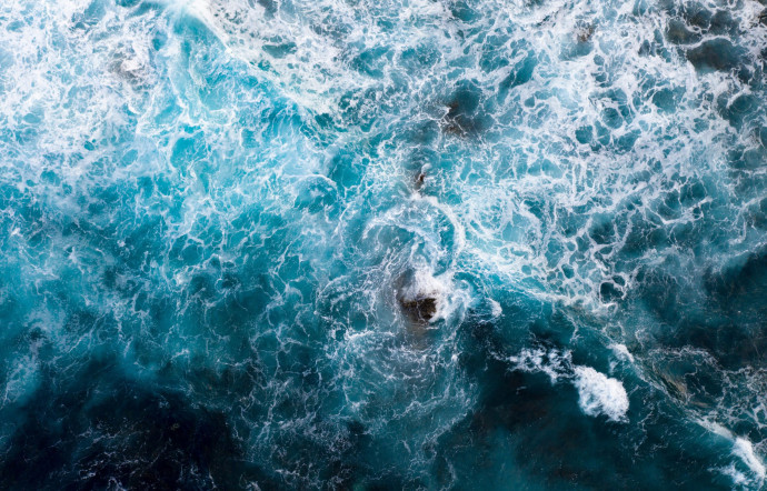 À 25 mètres sous la surface de l’eau, d’énormes rochers couverts d’algues voisinent avec des fonds sableux sur lesquels vivent de grosses étoiles de mer orange vif.