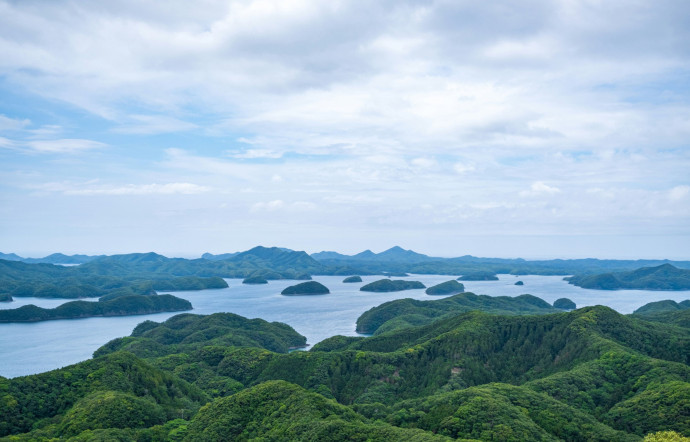 À l’est et au nord de l’île, les collines sont couvertes jusqu’à la mer d’une dense forêt primaire et la route est si peu fréquentée que des lianes d’un vert vif tapissent en partie l’asphalte.