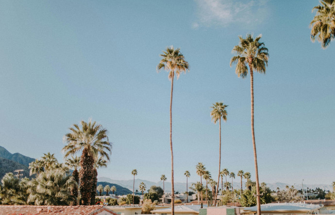 De jeunes créateurs se sont décidés à quitter New York ou Los Angeles pour s’installer dans la vallée de Coachella, à Palm Springs, 2024 - TGL