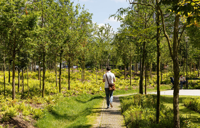 forêts urbaines fôret urbaine paris place de la catalogne