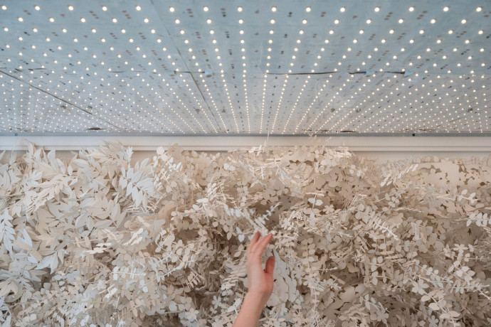 Le photographe Nicolas Krief à documenter les tout derniers moments du chantier de l’hôtel particulier de la fameuse maison de couture Dior, 2024 - TGL