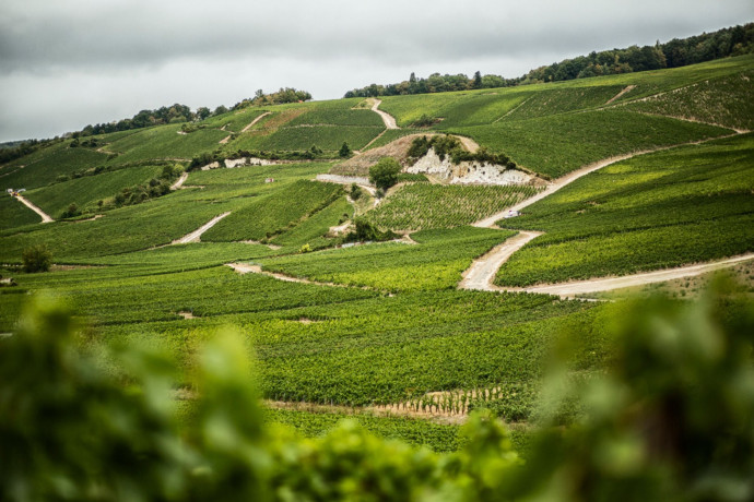 Lallier, Laurent-Perrier, Thiénot... Toute la diversité de la Champagne en une sélection, à tous les prix aussi, 2024 - TGL