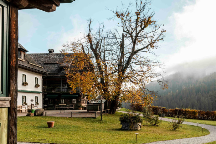 Le Steirereck de Birgit et Heinz Reitbauer est un restaurant hors pair et un emblème depuis 2005 du nouveau courant culinaire à Vienne, 2025 - TGL