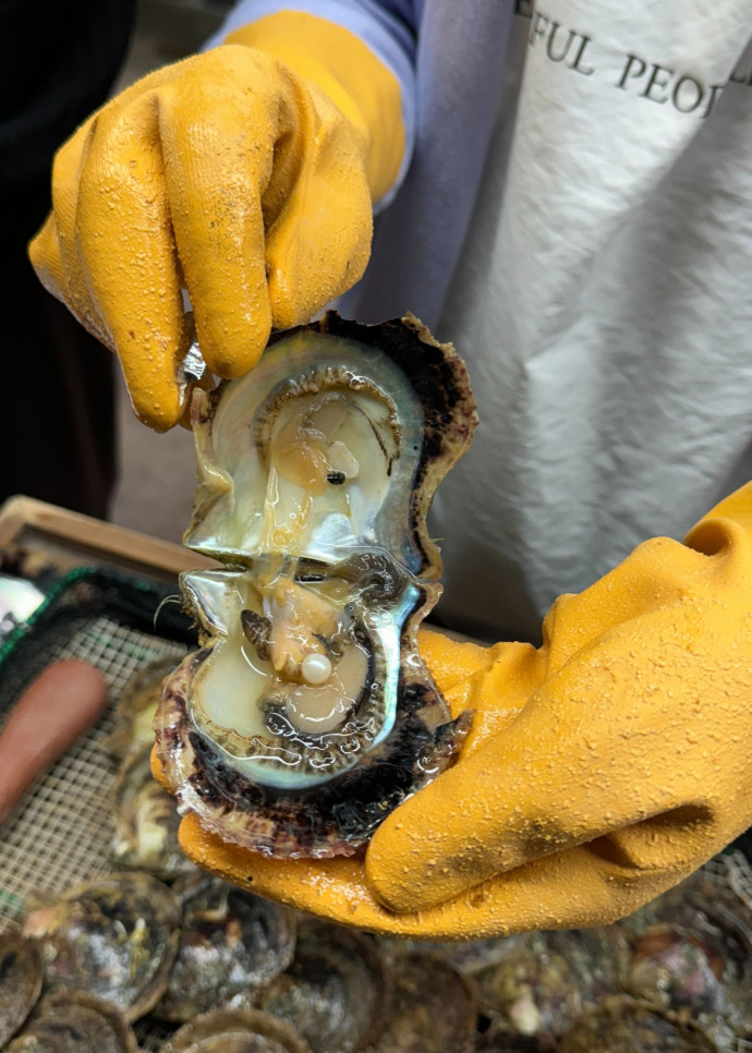 Dans la baie d’Ise, au Japon, il est possible d’accéder par bateau à l’un de ces îlots où d’authentiques petites fermes perlières, nichées au bout de pontons en bois, permettent d’assister à « l’ouverture des huîtres ».