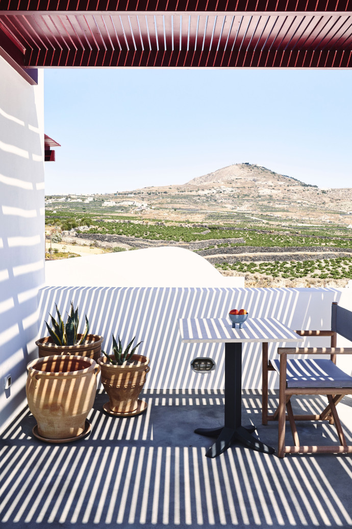Des vignes à perte de vue depuis la terrasse du Vedema, à Megalochori.