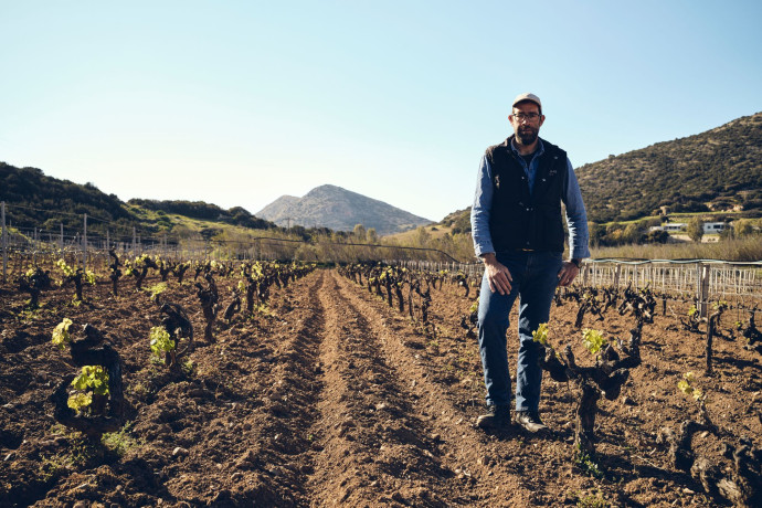 Makis Freris devant sa vigne en contrebas du village de Págos.
