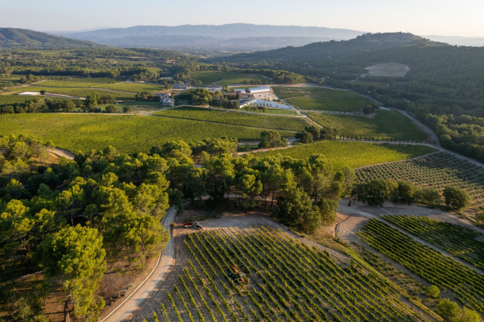 Les vignes du Château La Costes.