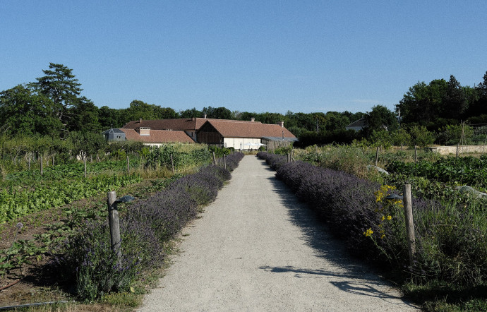 Le potager du Doyenné se visite librement.