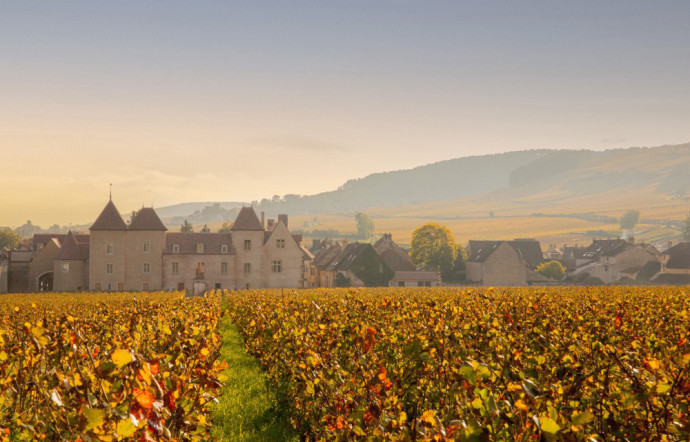 Ouverture en février 2026.