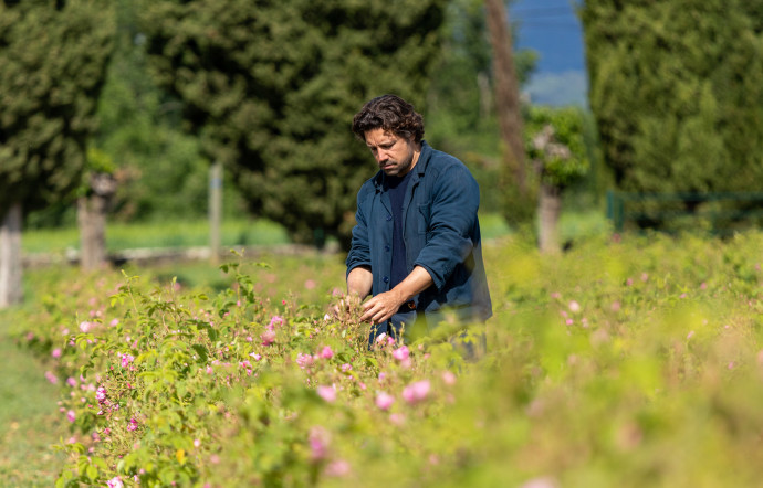 bougies parfums matière première aurélien guichard