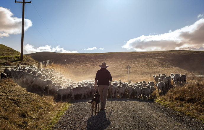 Record Bale Award 2025 loro piana