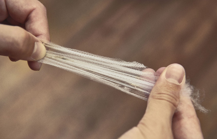 Une laine exceptionnelle.