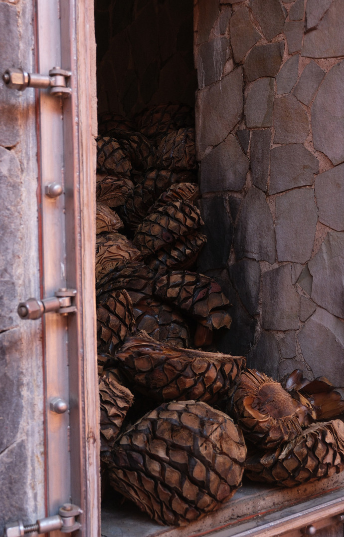 Les « piñas », le cœur de l&rsquo;agave, tout juste sorties de la cuisson.