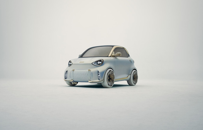 marques de voitures chinoises smart